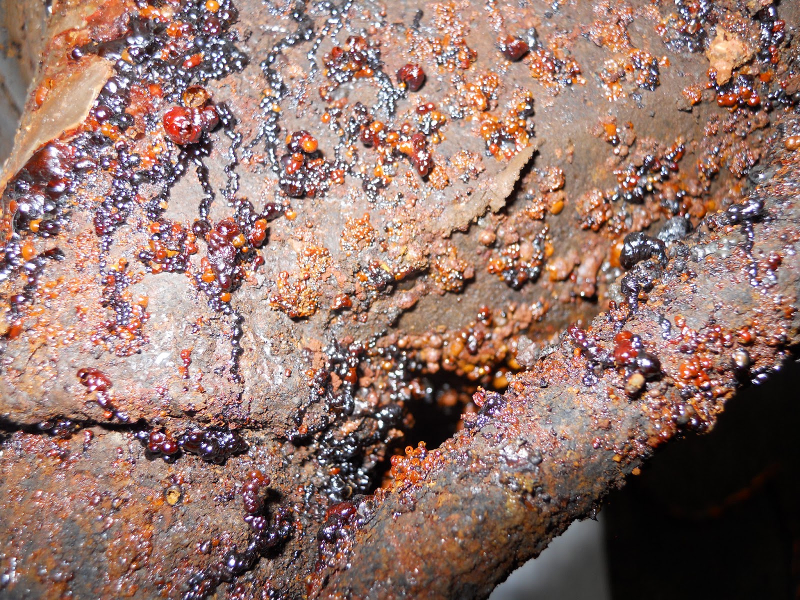 Korozyon Önleyiciler